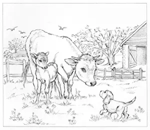 Biddy: Biddy Finds a Hare