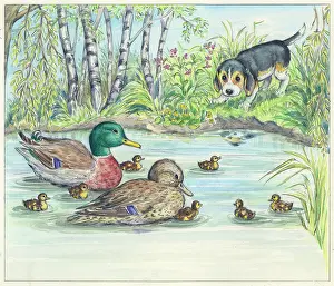 Biddy: Biddy Finds a Hare