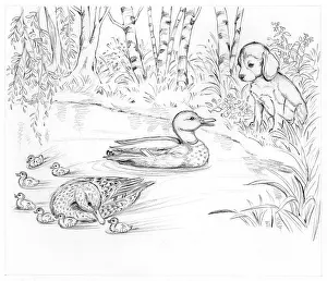 Biddy: Biddy Finds a Hare
