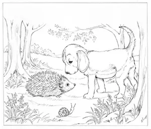 Biddy: Biddy Finds a Hare