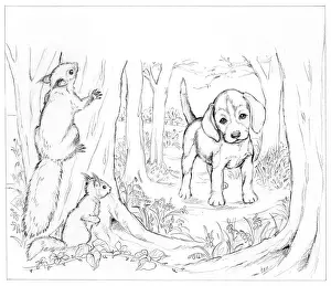 Biddy: Biddy Finds a Hare