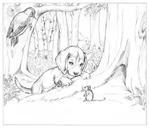 Biddy: Biddy Finds a Hare