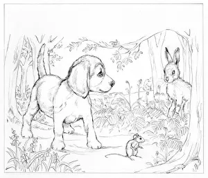 Biddy: Biddy Finds a Hare