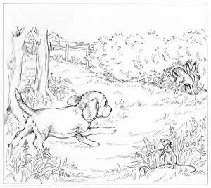 Disappearing: Biddy Finds a Hare