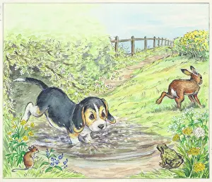 Biddy: Biddy Finds a Hare