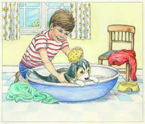 Sponge: Biddy Finds a Hare