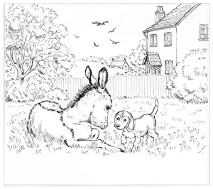 Finds: Biddy Finds a Hare