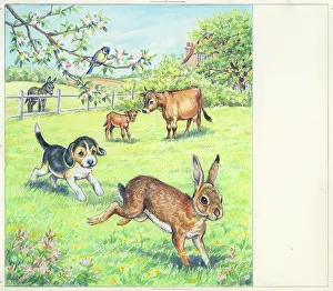 Finds: Biddy Finds a Hare