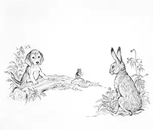 Finds: Biddy Finds a Hare