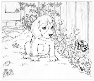Finds: Biddy Finds a Hare