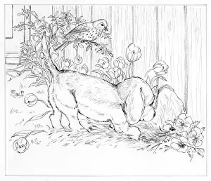 Finds: Biddy Finds a Hare