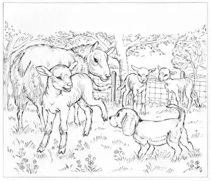 Finds: Biddy Finds a Hare