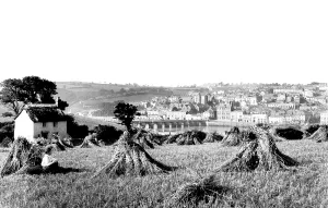 Bideford: Bideford, Bridge 1890