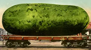 Watermelon: Big, Big Watermelon