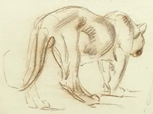 The Raymond Sheppard Collection: Big cat
