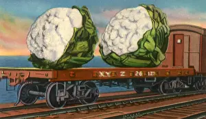 Veggie: Two Big Cauliflower Heads