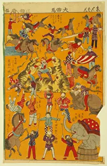 Taming: Big circus