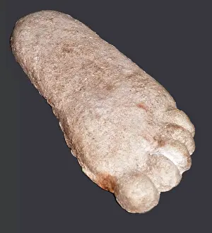 Yeti: Big Foot Footprint