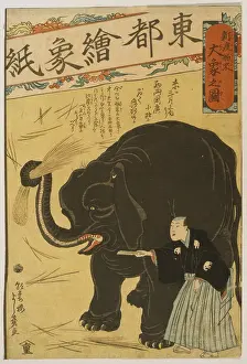 Caretaker: Big imported elephant