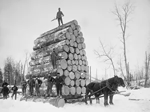 Deforestation: Big load of logs on a horse drawn sled in ?