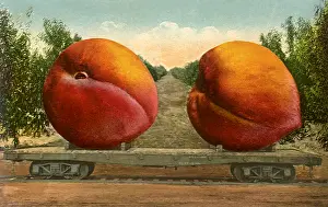 Peach: Big Peaches
