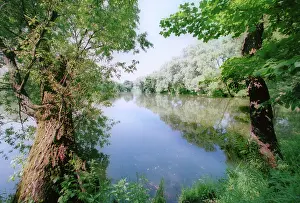 Decree: The Big Pond in Yasnaya Polyana, 1996