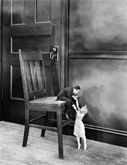 Cooperate: A big problem for little people
