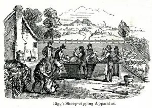 Insecticide: Bigg's sheep-dipping apparatus 1851