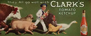 Ketchup: Billboard format advertisement
