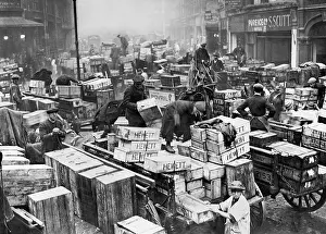 Crates: Billingsgate Fish Market, 1934