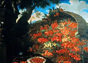 Bimbi: Bimbi, Bartolomeo (1648