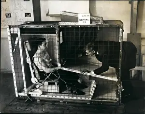 Laboratories: Biomechanical experiment with restricted movement in cage