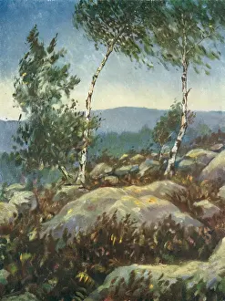 Nevinson: The Two Birch Trees