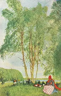 Under the Birches