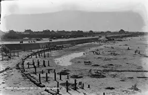 Posts: Birchington at Minim Bay