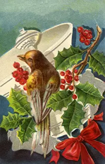 Amid: Bird Among the Bells
