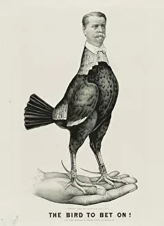 C1880: The bird to bet on