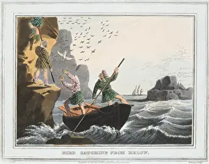 Colleagues: Bird Catching from Below'. Catchers were helped