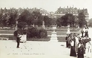 Birdman: Bird charmer of the Tuileries Gardens