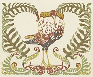 Clump: Bird in a clump of ferns
