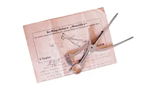 Cull: Bird Culler