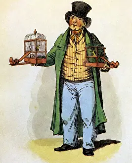 Topper: Bird-dealer