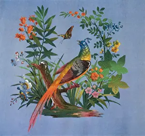 Peacocks: Bird and Flowers