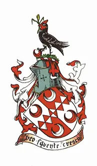 Icons: Bird, Helmet, Shield