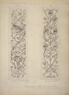Scaled: Bird, leaves and chameleon design