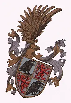 Rampant: Bird and Lion Crest