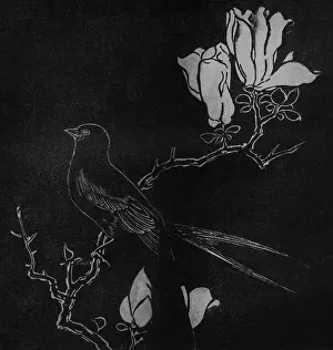 Posterity: Bird on Magnolia Branch