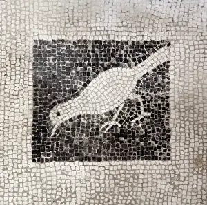 Proculus: Bird mosaic, House of Paquius Proculus, Pompeii, Italy