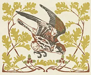 Acorn: Bird in oak leaves with acorns