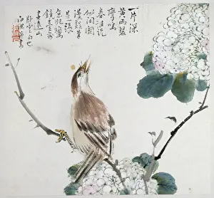 Birdsong: Bird painting